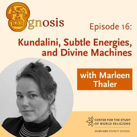 Title card with Episode 16: Kundalini, Subtle Energies, and Divine Machines