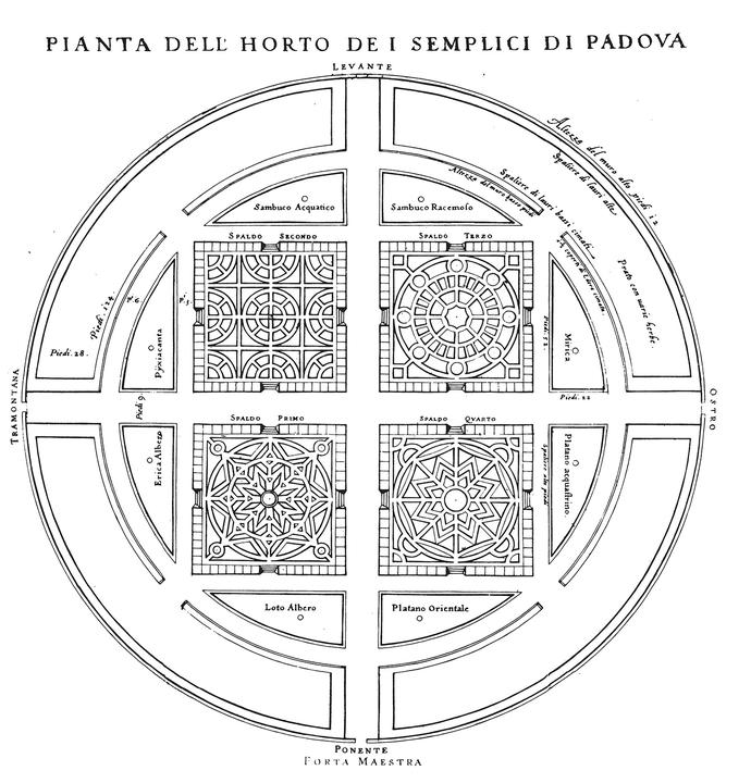 Plan for the botanical garden padua