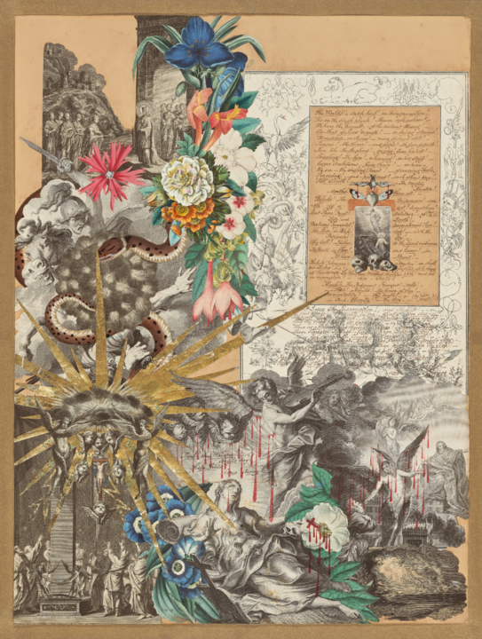 Colorful collage of flowers, snakes, gothic images and writing