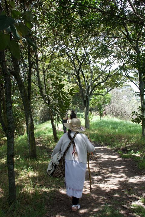 Woman in hat with walking stick walking along a path.