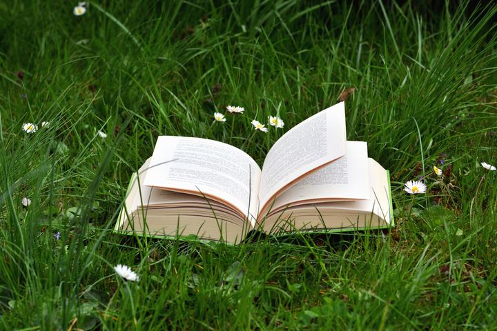 Book and grass