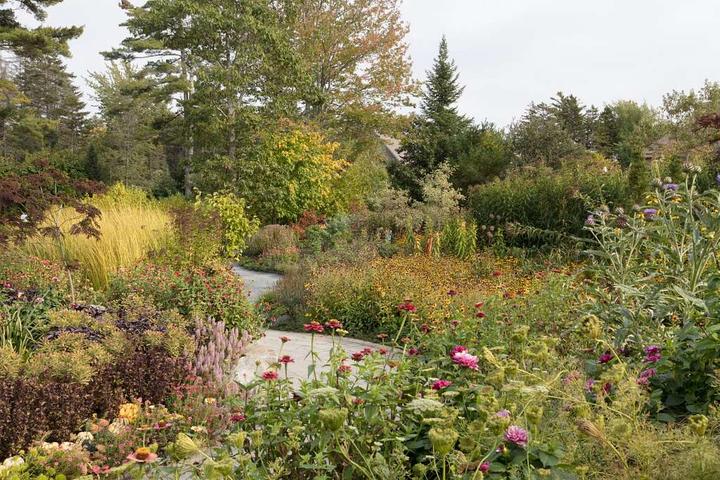 Wild garden