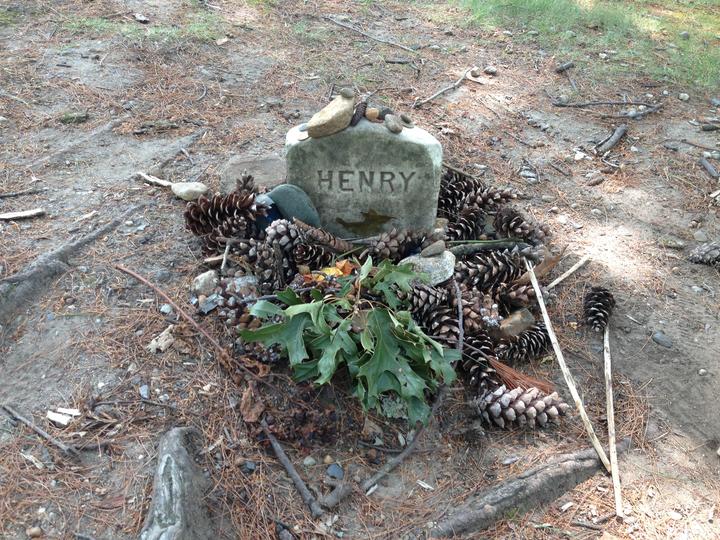 Thoreau grave
