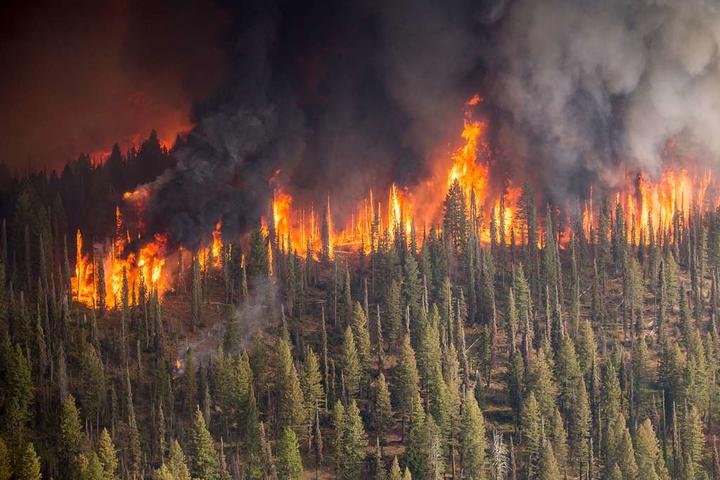 Wildfire in Idaho