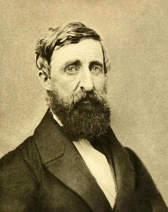 Henry Thoreau portrait