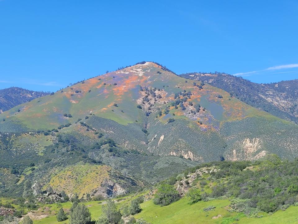 Image of Figueroa Mountain