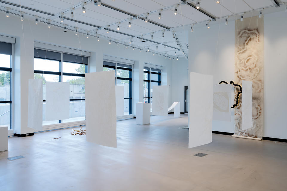 Phantom Tree Installation