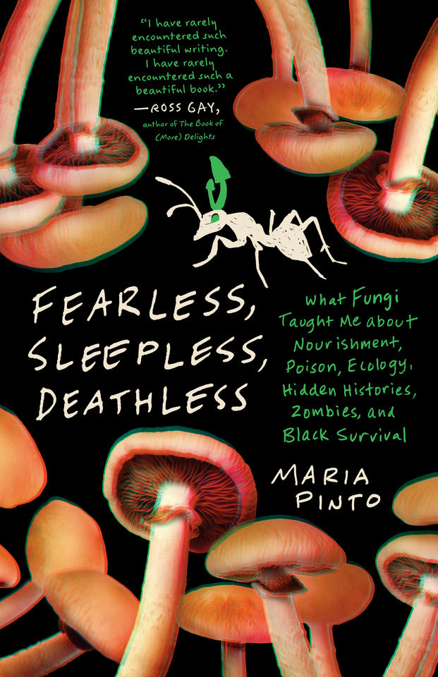 Cover of book Fearless, Sleepless, Deathless by Maria Pinto