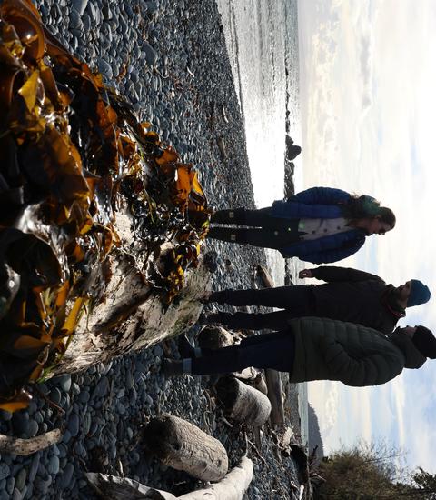 BC field trip participants on the coast