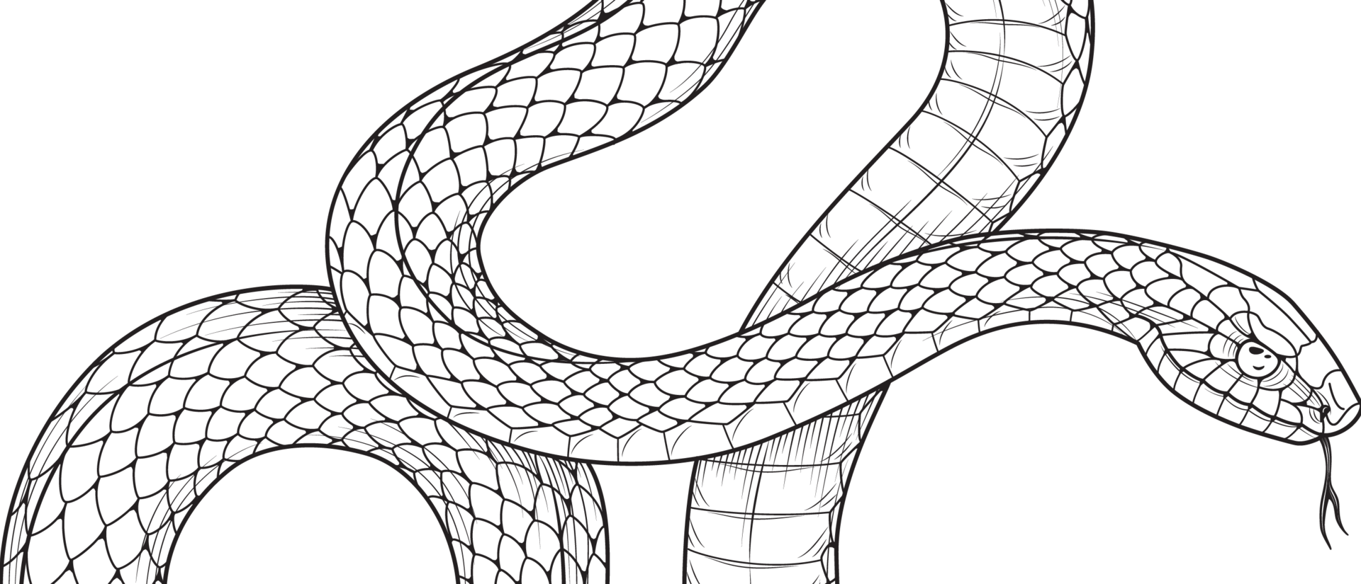 Line drawing of a serpent