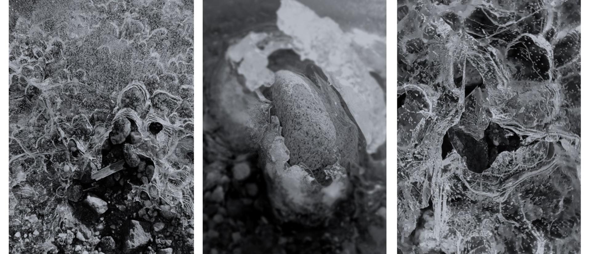 Photos from Walden Pond