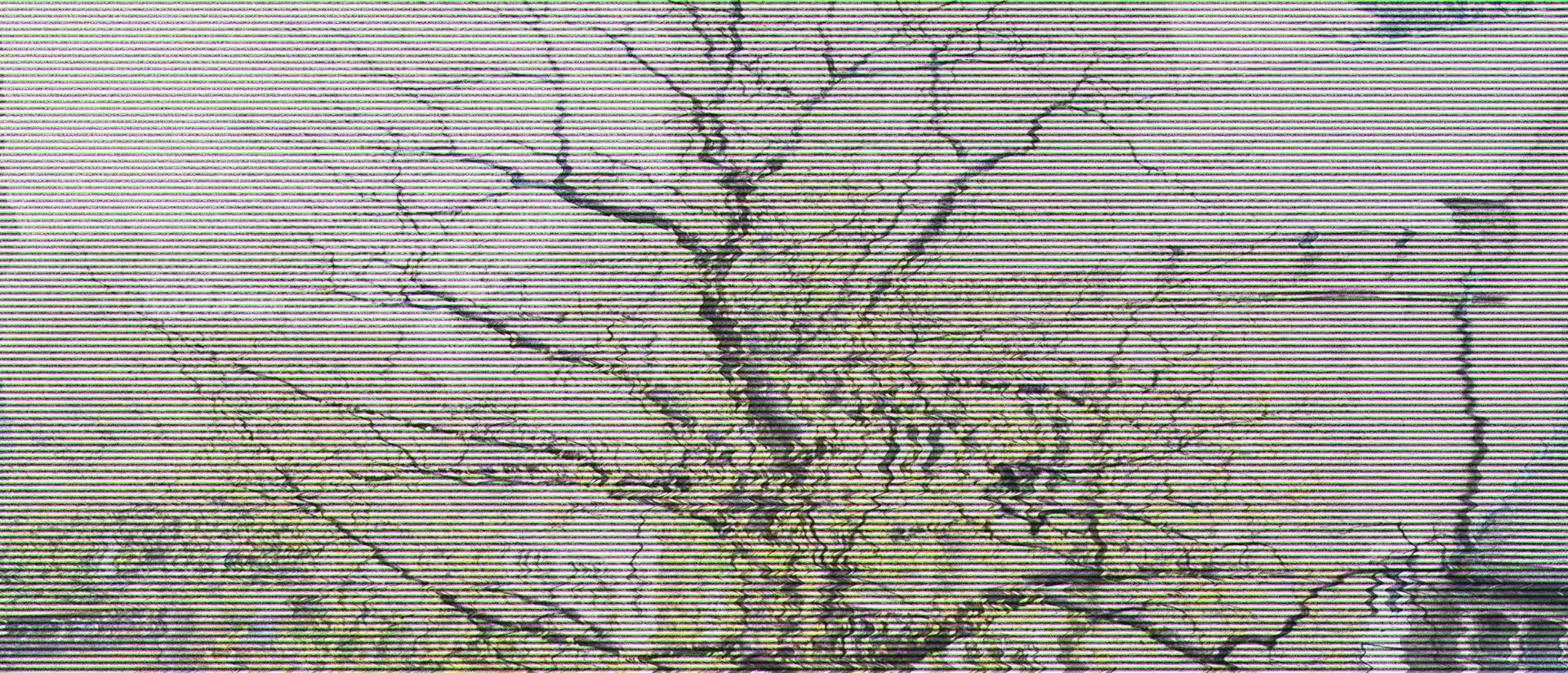 Modified image of tree in front of Divinity Hall Harvard