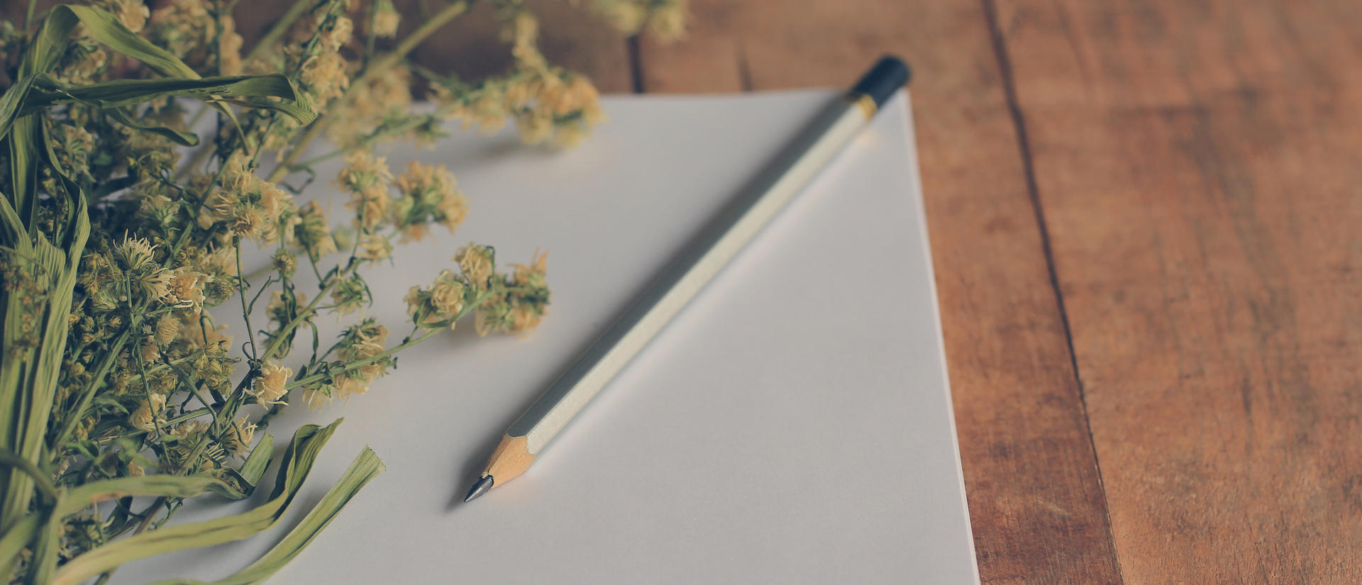 Blank page on a desk with a pencil on top of the page along with some sprigs of some kind of plant