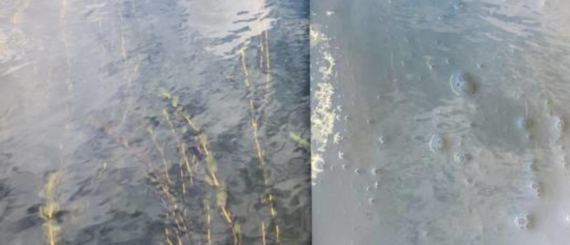 skywater image