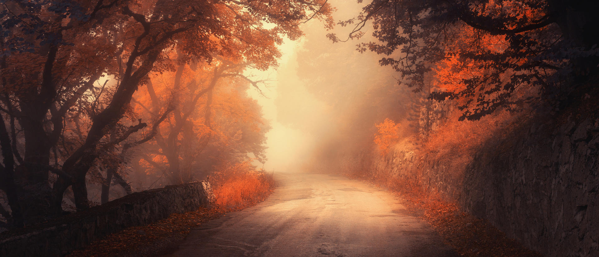 Mystical autumn red forest with road