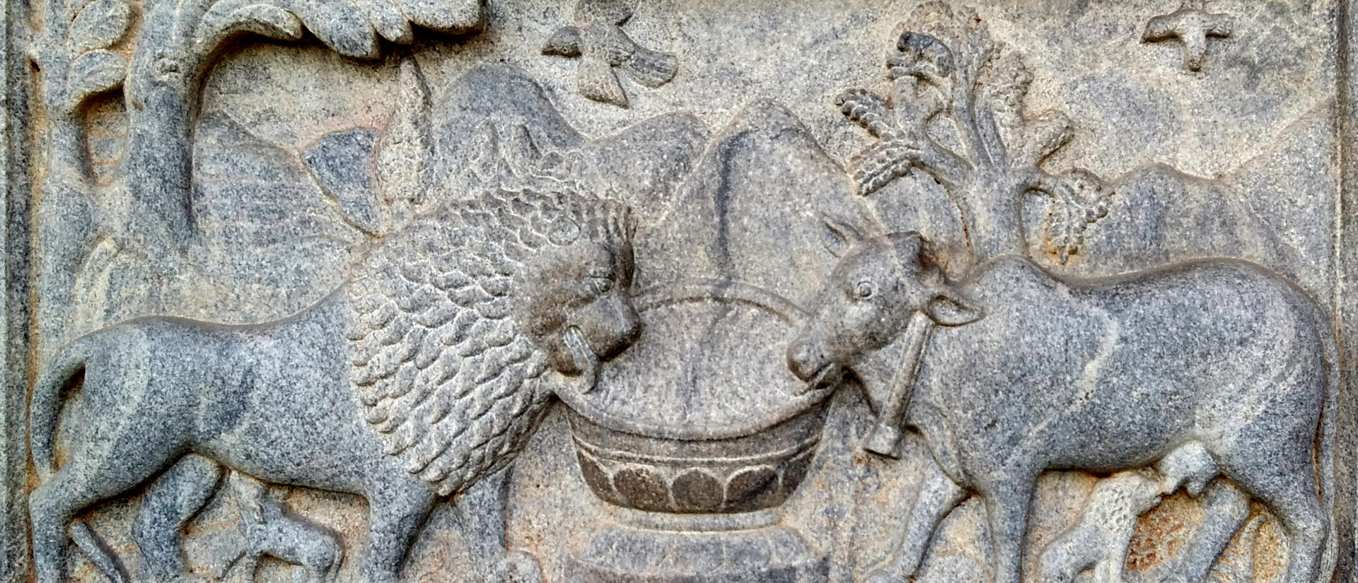 depiction of ahimsa, non-violence. lion and sheep at a fountain