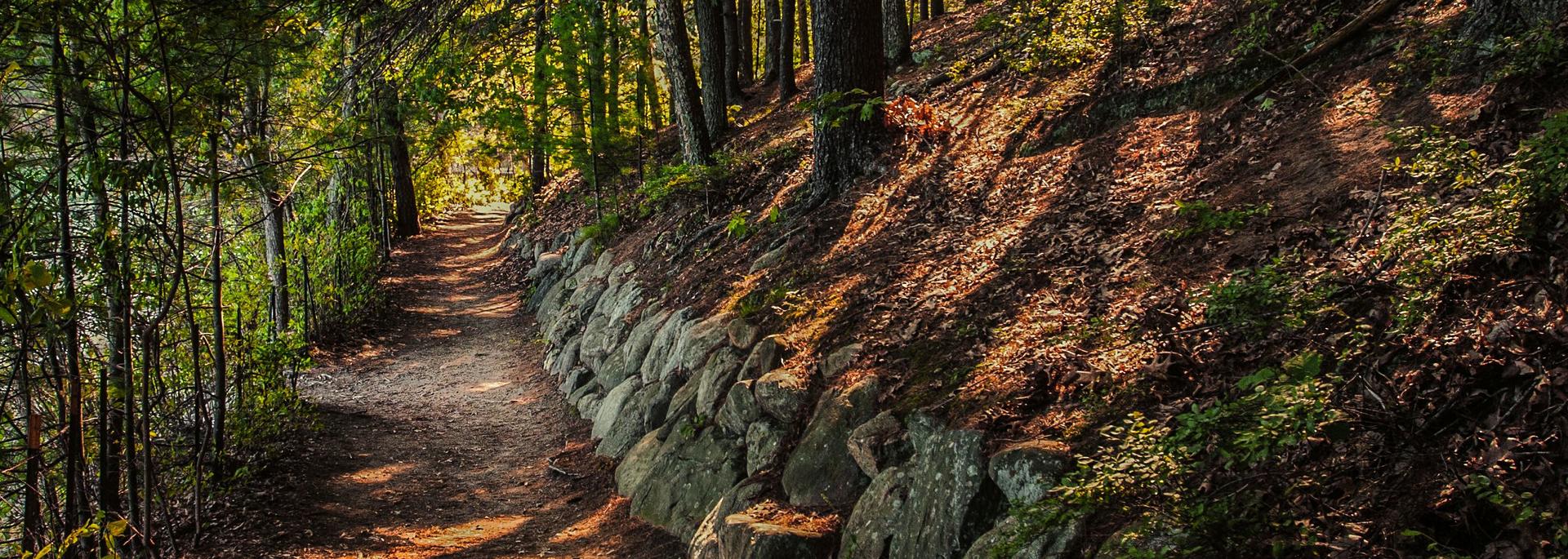Walking trail in the woods