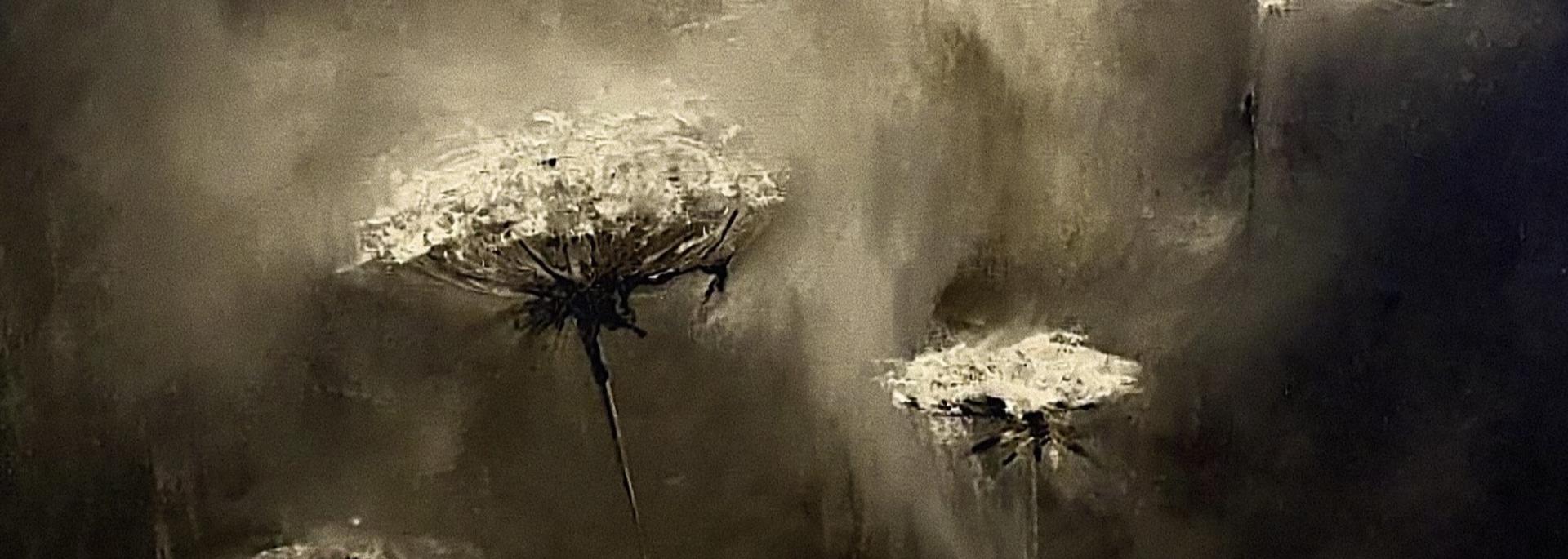 painting of brown and cream Queen Anne's lace