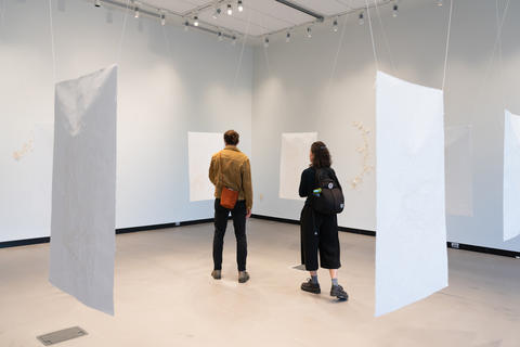 Two individuals look at art installation