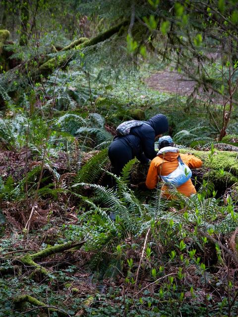 Fieldtrip participant in the forest