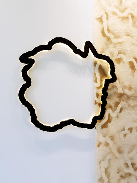 tree ring art exhibition