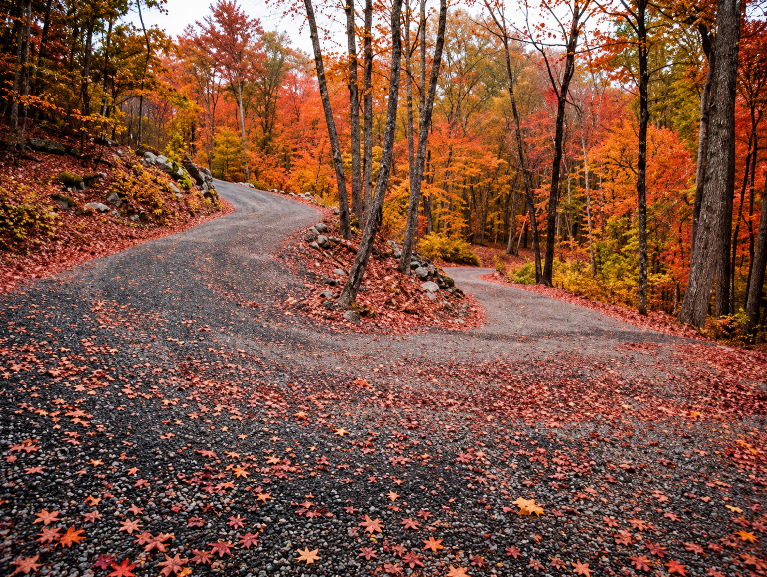 fall colors