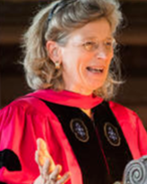 Kimberley Patton, wearing academic robes, gesturing and looking out into an audience